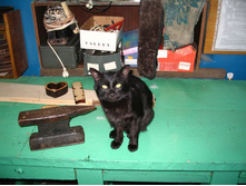 ����������� 050.jpg