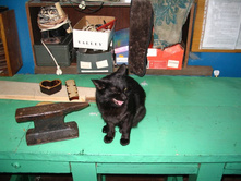 ����������� 051.jpg