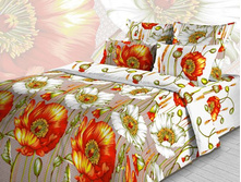 3397-1-2, �����������.jpg