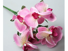 ������������� �������.jpg