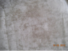 DSCN0596.JPG