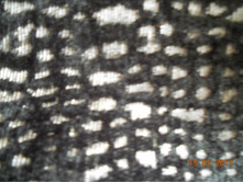 DSCN0602.JPG