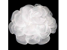 50 ���. �������� ���.20.jpg