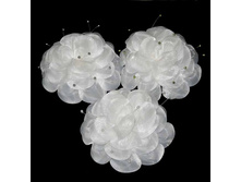 63 ���. ���� ��������  ���76.jpg