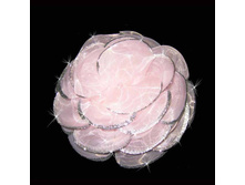 65 ���. ���� �������� ���.33.jpg