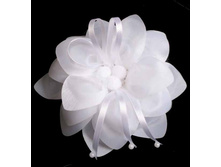 76 ���. ���� �������� ������� ���91.jpg