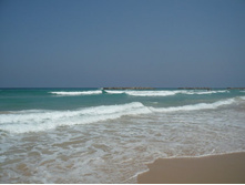 ���� � ��������