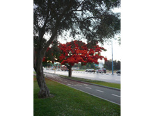 �������� ������� ������ � ��������