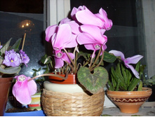 ��������25.11.2009 21:43:26