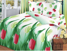 �������� ����.jpg