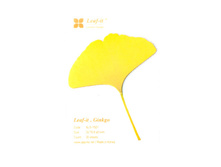 ���..��� - ֣���� ���������.jpg