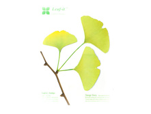 �����..� - ��̣��� �������.jpg