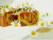 ���������� ����.jpg