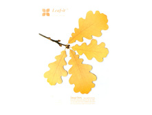 ��� - ֣���� �������.jpg