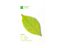 ������������ - ��̣��� ���������.jpg