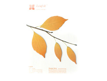 ������������ - ���������� �������.jpg