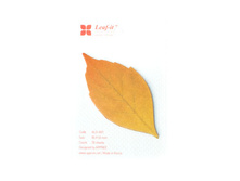 ������������ - ���������� ���������.jpg