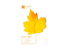 �̣� - ֣���� ���������.jpg