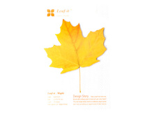 �̣� - ֣���� �������.jpg