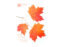 �̣� - ������� �������.jpg