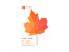 �̣� - ������� ���������.jpg