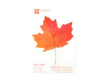 �̣� - ������� �������.jpg