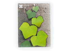 ���� - ��̣��� �������.jpg