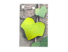 ���� - ��̣��� ���������.jpg