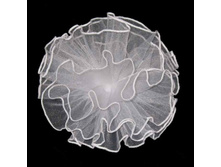 45 ���. ���� ������� ��6.jpg