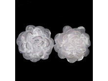 51 ���. ���� �������� ����� ���.��-1.jpg