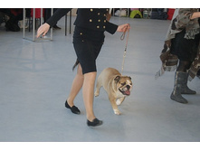 ������ � ��������.JPG