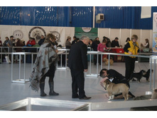 ������� � ��������.JPG