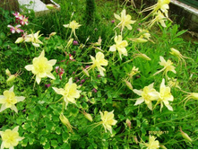 ���� ���.JPG