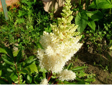 �������� ���� ������.JPG