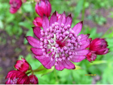 ��������� ����� ���.JPG