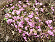 ���������� .JPG