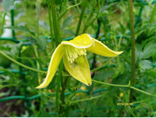 ���� ���������1.JPG