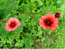 �������� �������.JPG