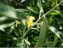 ��� ��������.JPG