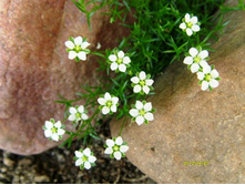 ������ �����.JPG