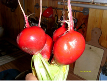 ����� �������.JPG