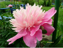 ���� �������.JPG