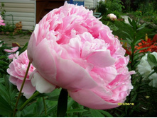 ���� ���� ������2.JPG