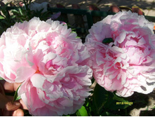 ���� ���� ������3.JPG