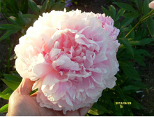 ���� ���� ������ ������.JPG