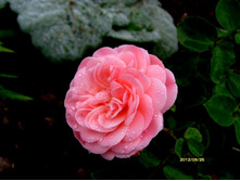 ���� ����������6.JPG