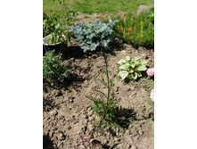 ������ �������������.JPG