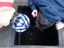 � ����� ���� ������� �������?..