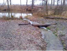 ������� ����� ������ - ������ ��������, � �� � ���� ��������!!!