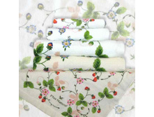 ��������� � ��������.jpg